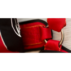 Wings Classic Skydiving Container  Wings Classic Skydiving Container