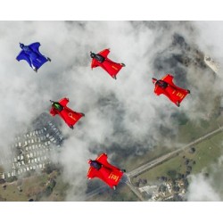 Aerodyne Pilot 7-Cell Main Canopy Aerodyne Pilot 7-Cell Main Canopy