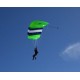 Aerodyne Pilot 9-Cell Main Canopy Aerodyne Pilot 9-Cell Main Canopy