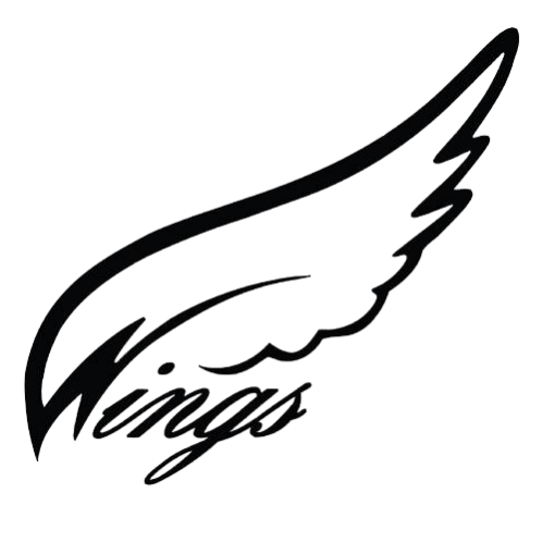 Wings Main Pilot Chute with Bridle